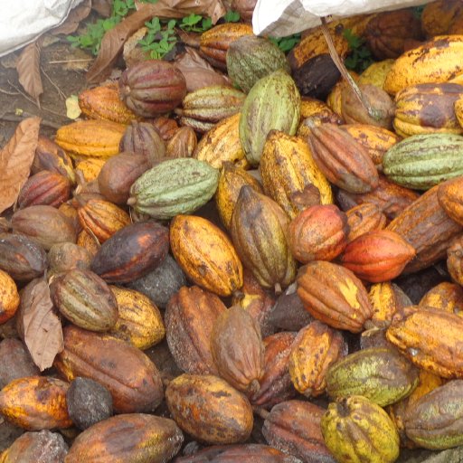 End of the harvest