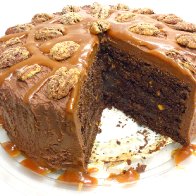 Chocolate Turtle Cake