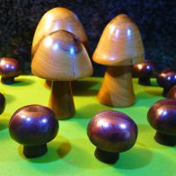 Dark Chocolate Mushrooms