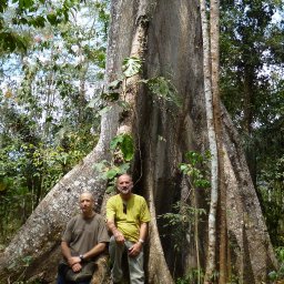 cacao bolivia 2