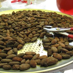 cracking roasted beans
