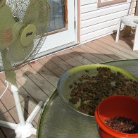 removing husk