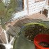 removing husk