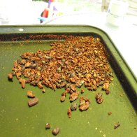 removing husk