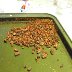 removing husk