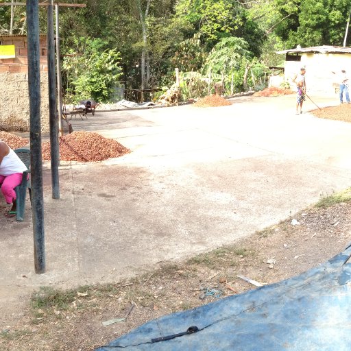 Ocumare - cansamacho drying patio