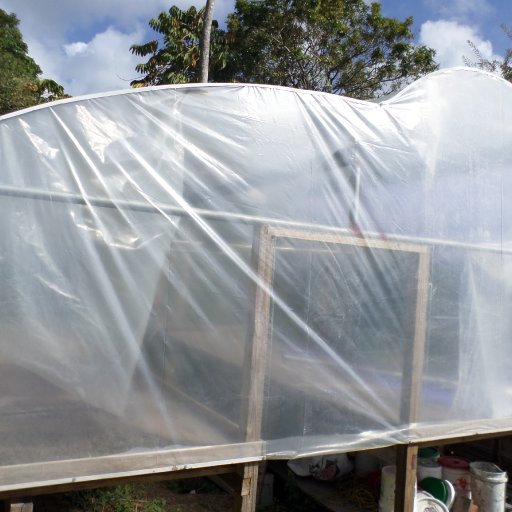 SAM_0013 Greenhouse type cocoa dryer