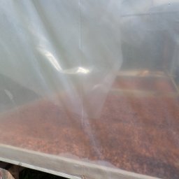 SAM_0095 A view of beans drying through the UV plastic.