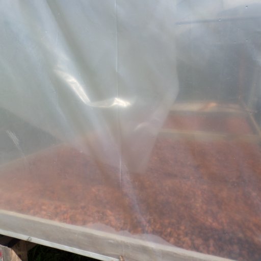 SAM_0095 A view of beans drying through the UV plastic.