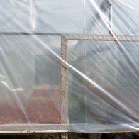 SAM_0096 View of beans drying through UV plastic