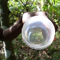 SAM_0043 Insect trap