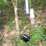 SAM_0061I sect trap with battery