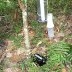 SAM_0061I sect trap with battery