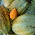 Puerto Rico Cacao