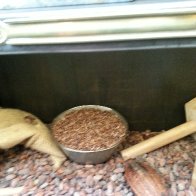 Germany Pictures 432
