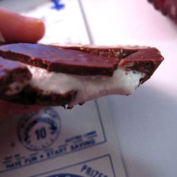 Boyer's Mallow Cup I