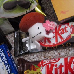 April Candy Trade: Dokomodake