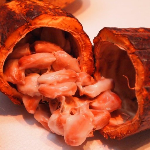 Pod