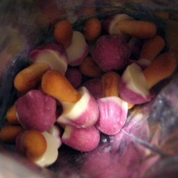 April Candy Trade: Kinoko no Yama: Grape I