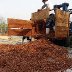 Drying-DumpingBox2