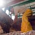 Fermentation-MovingSeeds2