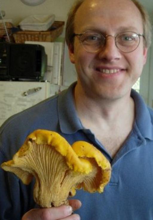David Lubertozzi