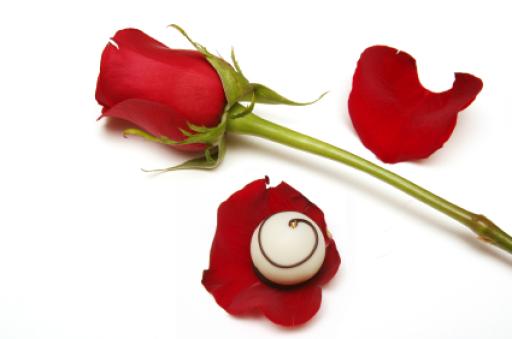 E. Rose