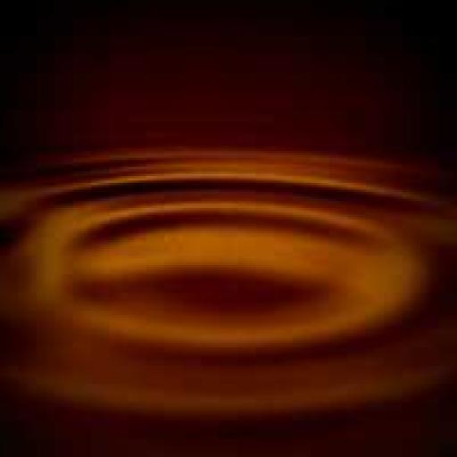 Hein Browkhoven & Lianne Brown