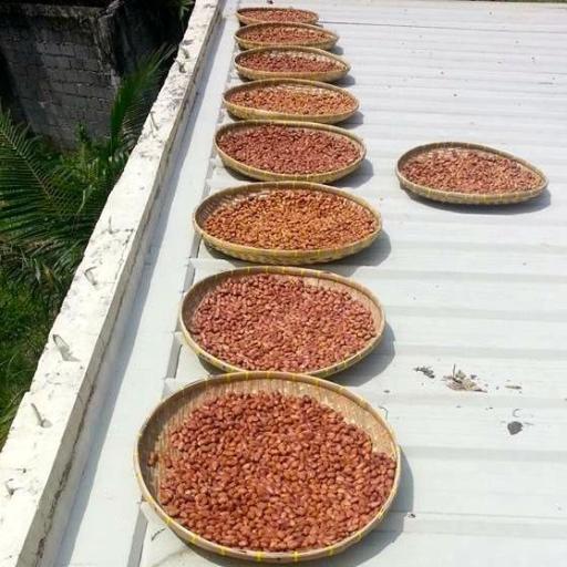 NutraRich Philippines