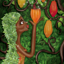 colorchocolate