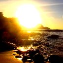 David Gomes de Freitas