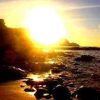 @david-gomes-de-freitas (active)